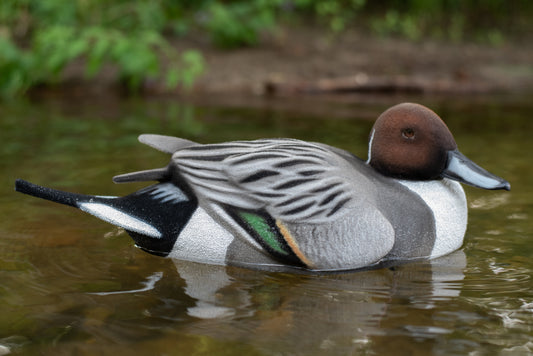 6 pack - Fully Flocked Pintail Decoys
