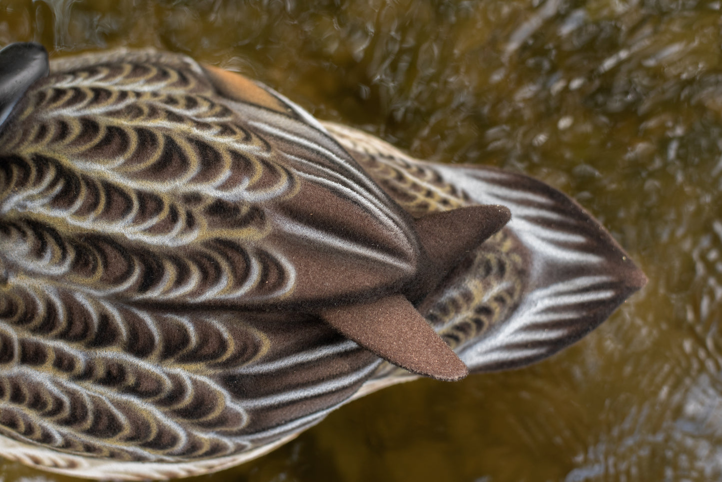 2 Pack - Fully Flocked Pintails