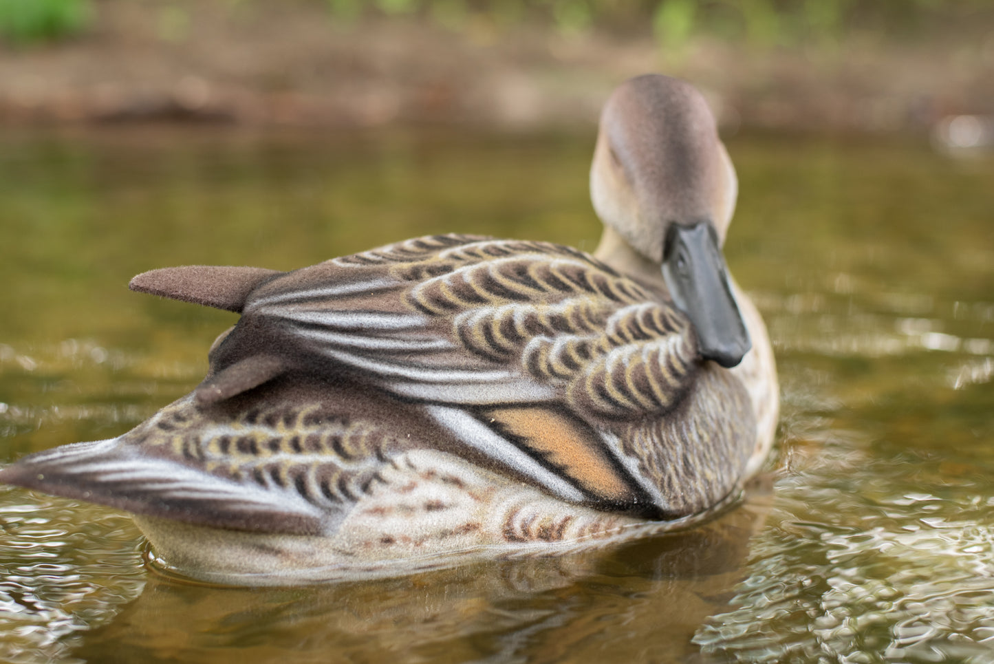 4 pack - Fully Flocked Pintails