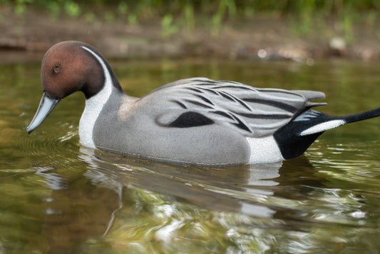 2 Pack - Fully Flocked Pintails
