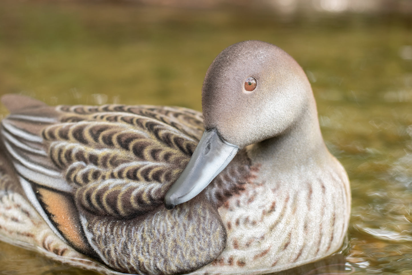 4 pack - Fully Flocked Pintails