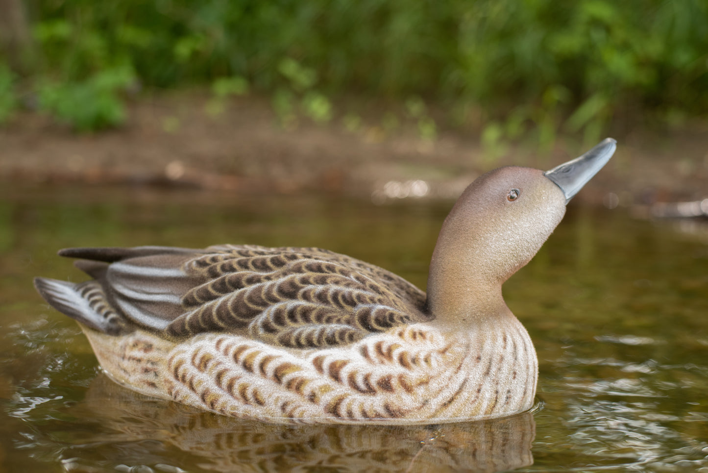 4 pack - Fully Flocked Pintails