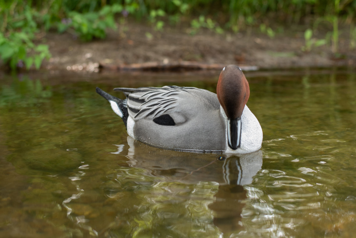 2 Pack - Fully Flocked Pintails