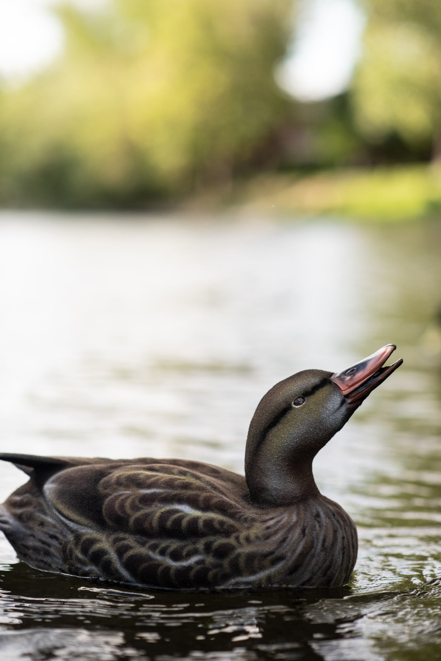 4 pack - Fully Flocked Mallard Decoys