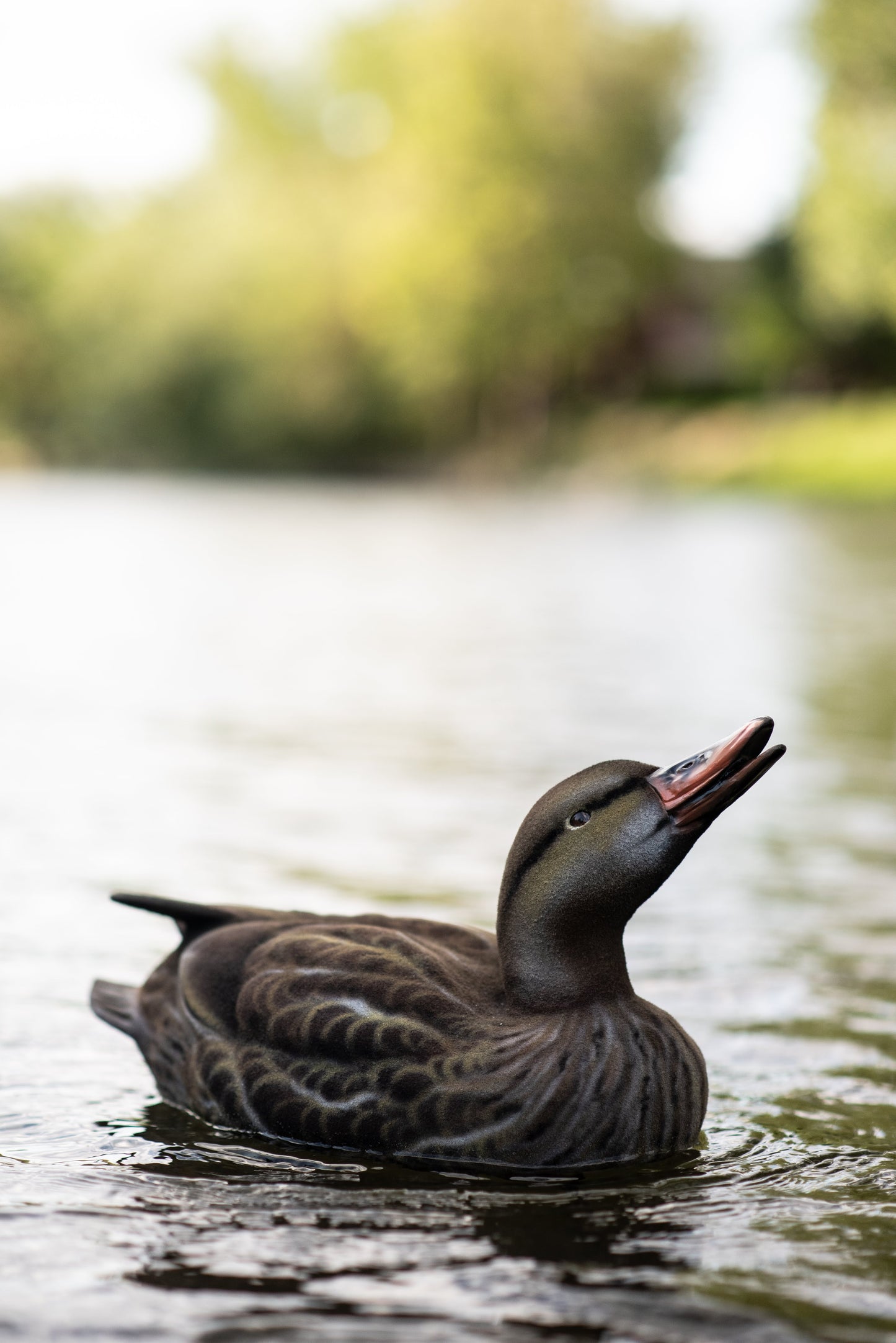 4 pack - Fully Flocked Mallard Decoys