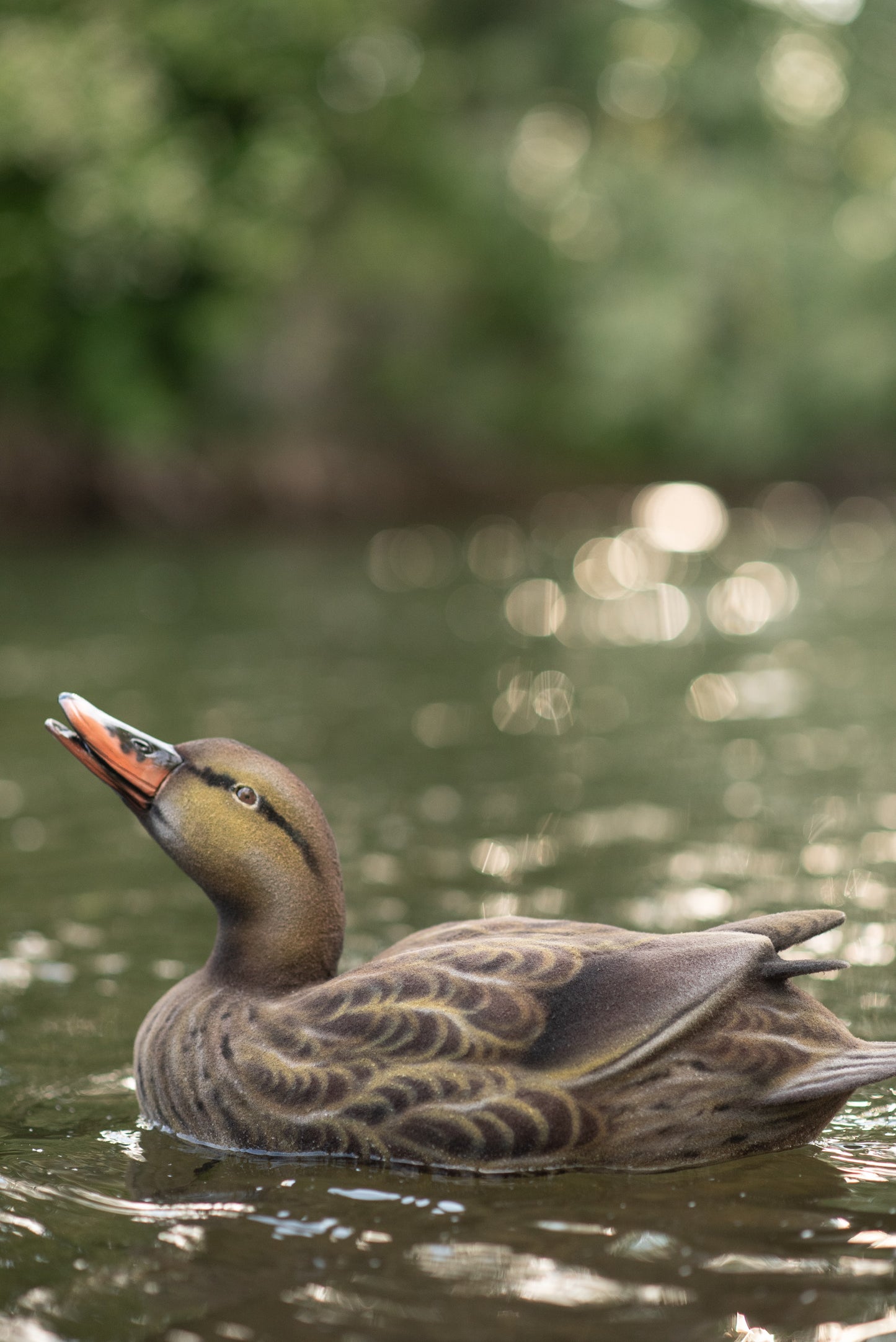 2 pack - Fully Flocked Mallard Decoys