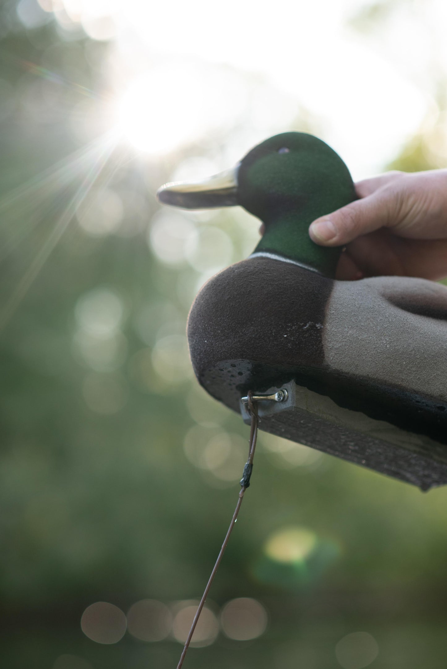 4 pack - Fully Flocked Mallard Decoys