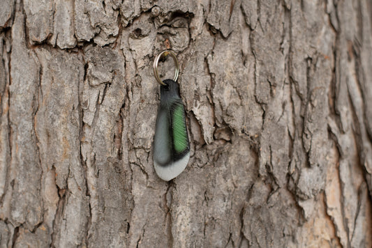 Pintail Speculum Feather Keychain