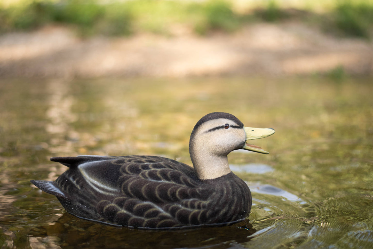 2 pack - Fully Flocked Black Ducks