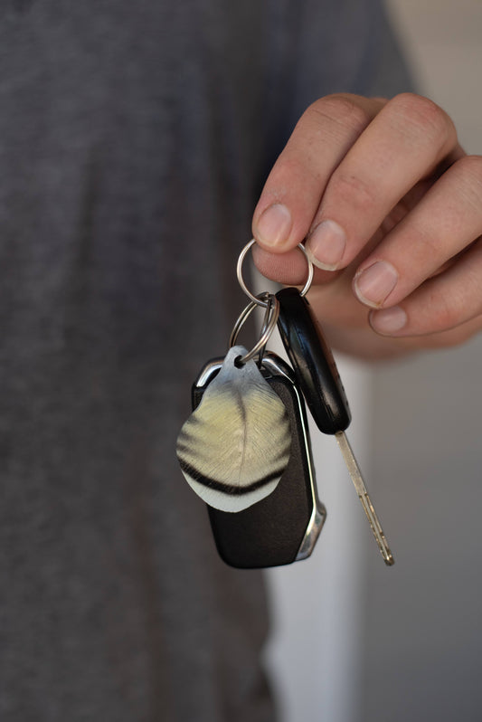 Wood Duck Flank Feather Keychain