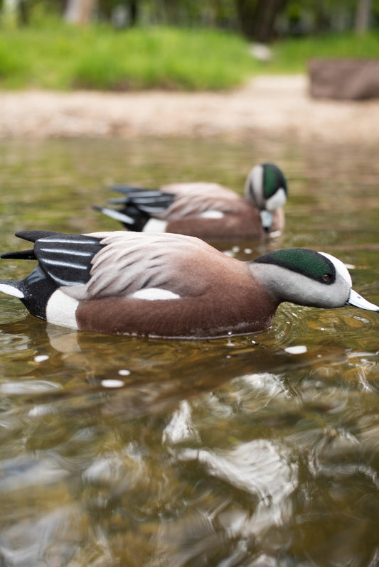 2 pack - Fully Flocked Wigeon Decoys