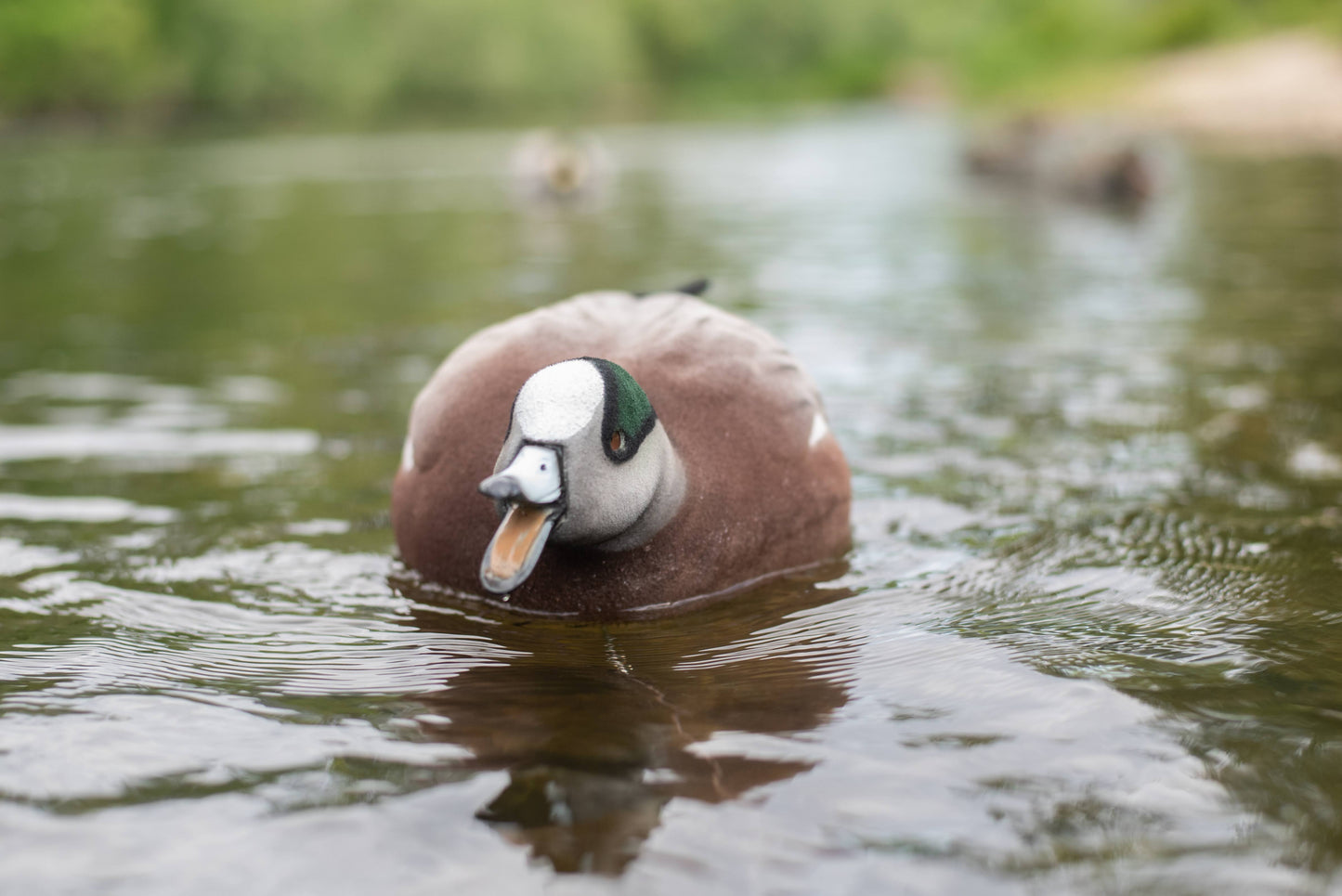 4 pack - Fully Flocked Wigeon Decoys