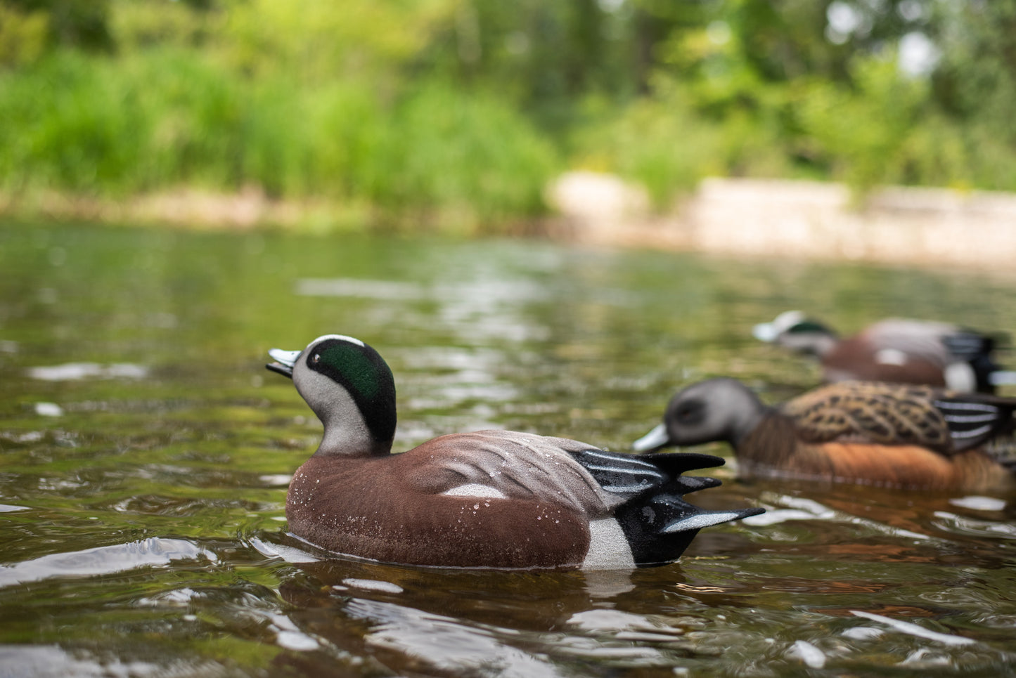 4 pack - Fully Flocked Wigeon Decoys