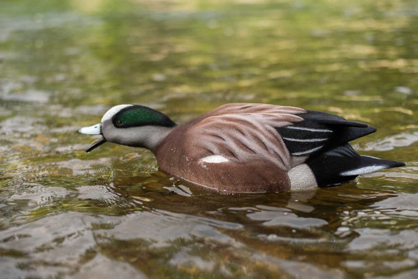 4 pack - Fully Flocked Wigeon Decoys