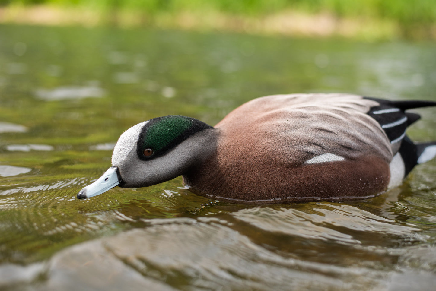 4 pack - Fully Flocked Wigeon Decoys