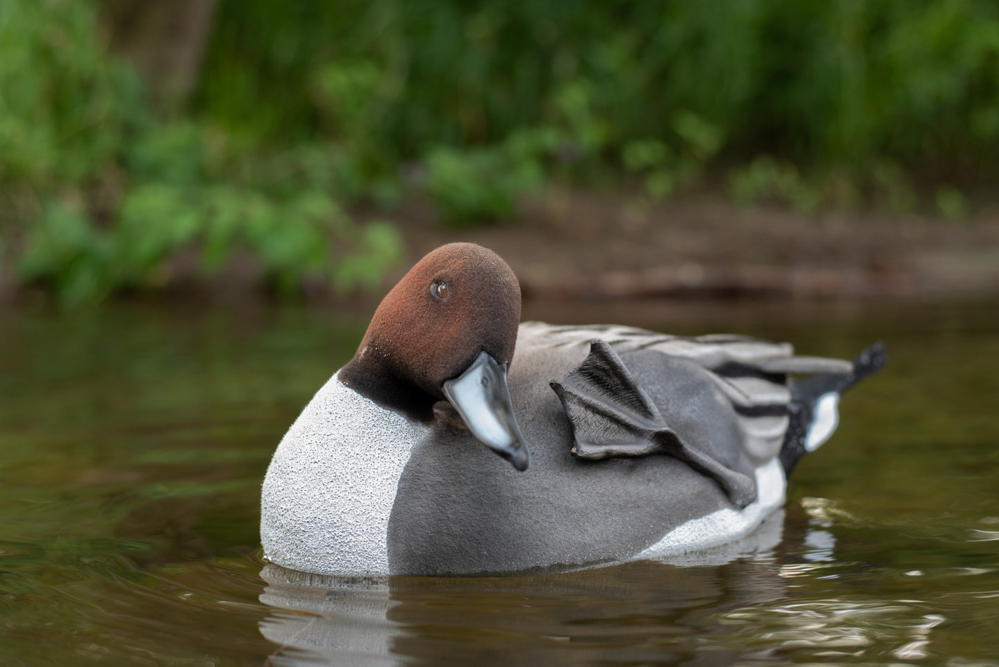 6 pack - Fully Flocked Pintail Decoys