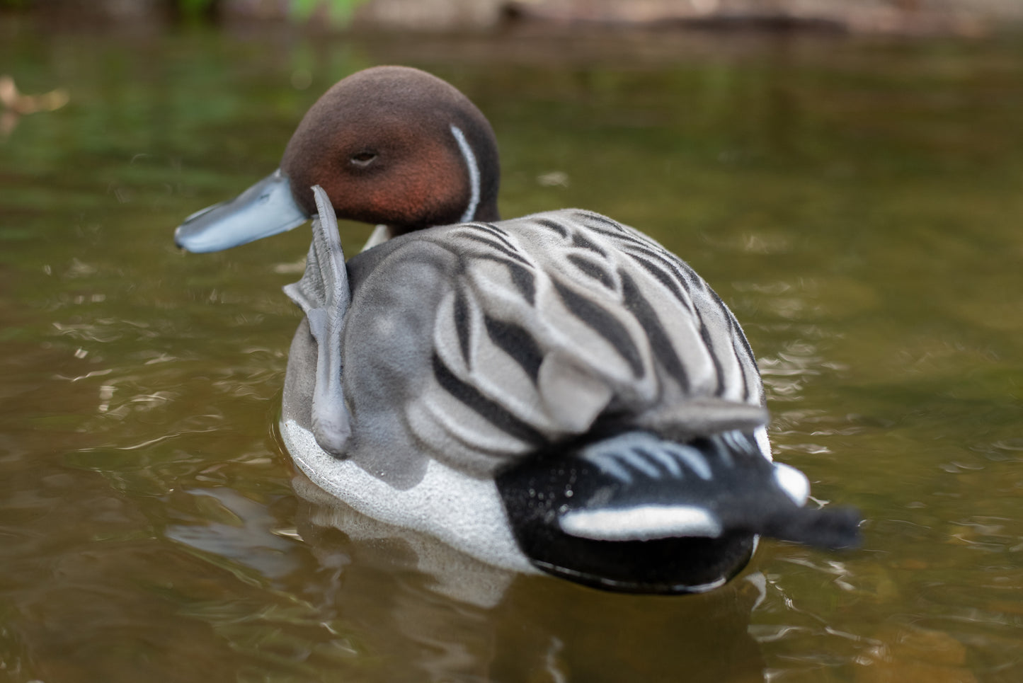 6 pack - Fully Flocked Pintail Decoys