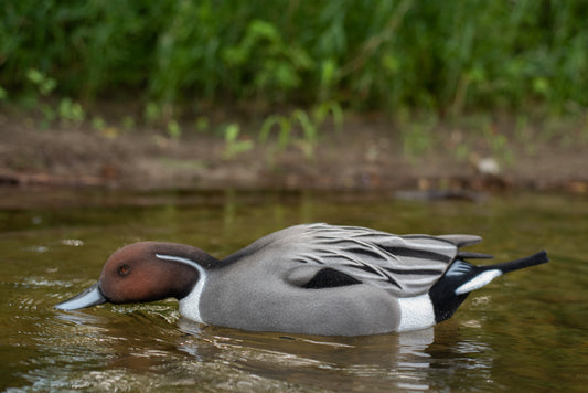 2 Pack - Fully Flocked Pintails