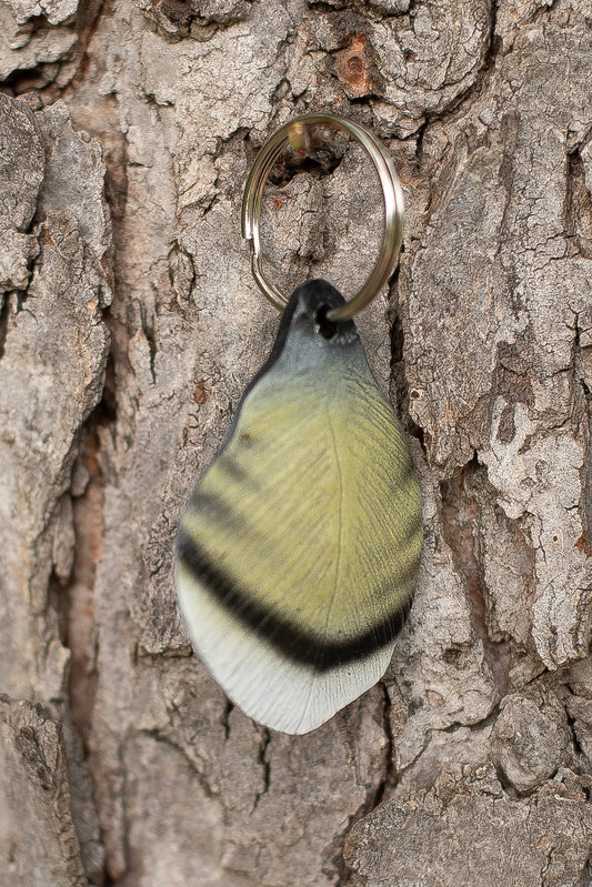 Wood Duck Flank Feather Keychain