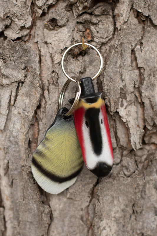 Wood Duck Bill + Flank Feather Combo Keychain