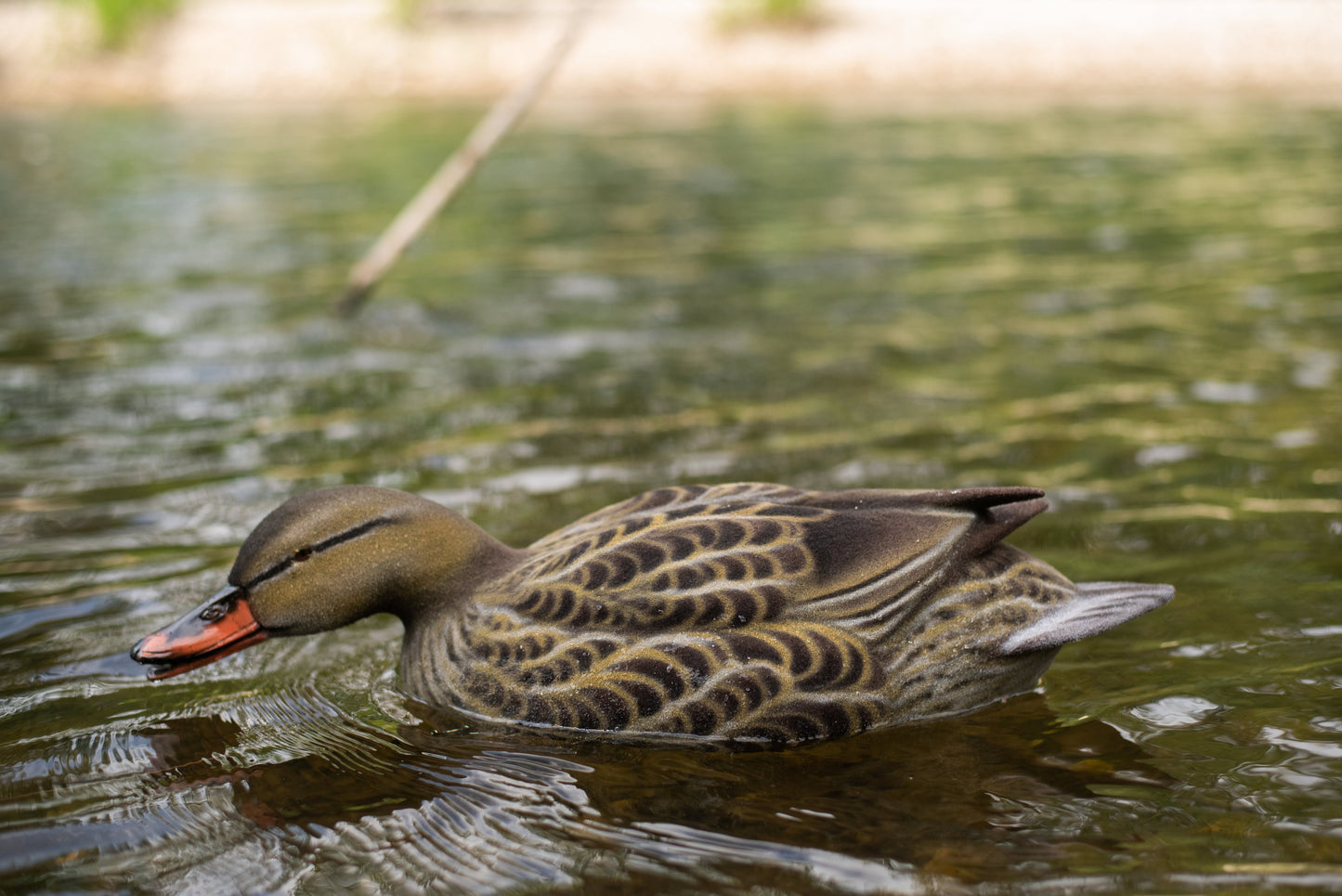6 pack - Fully Flocked Mallard Decoys