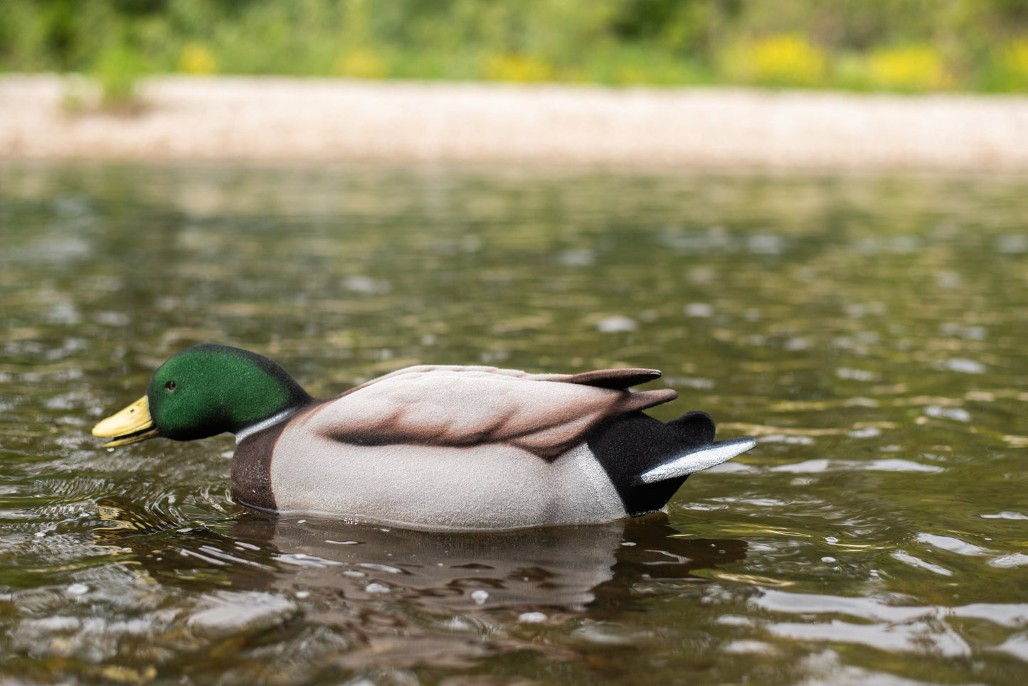 6 pack - Fully Flocked Mallard Decoys