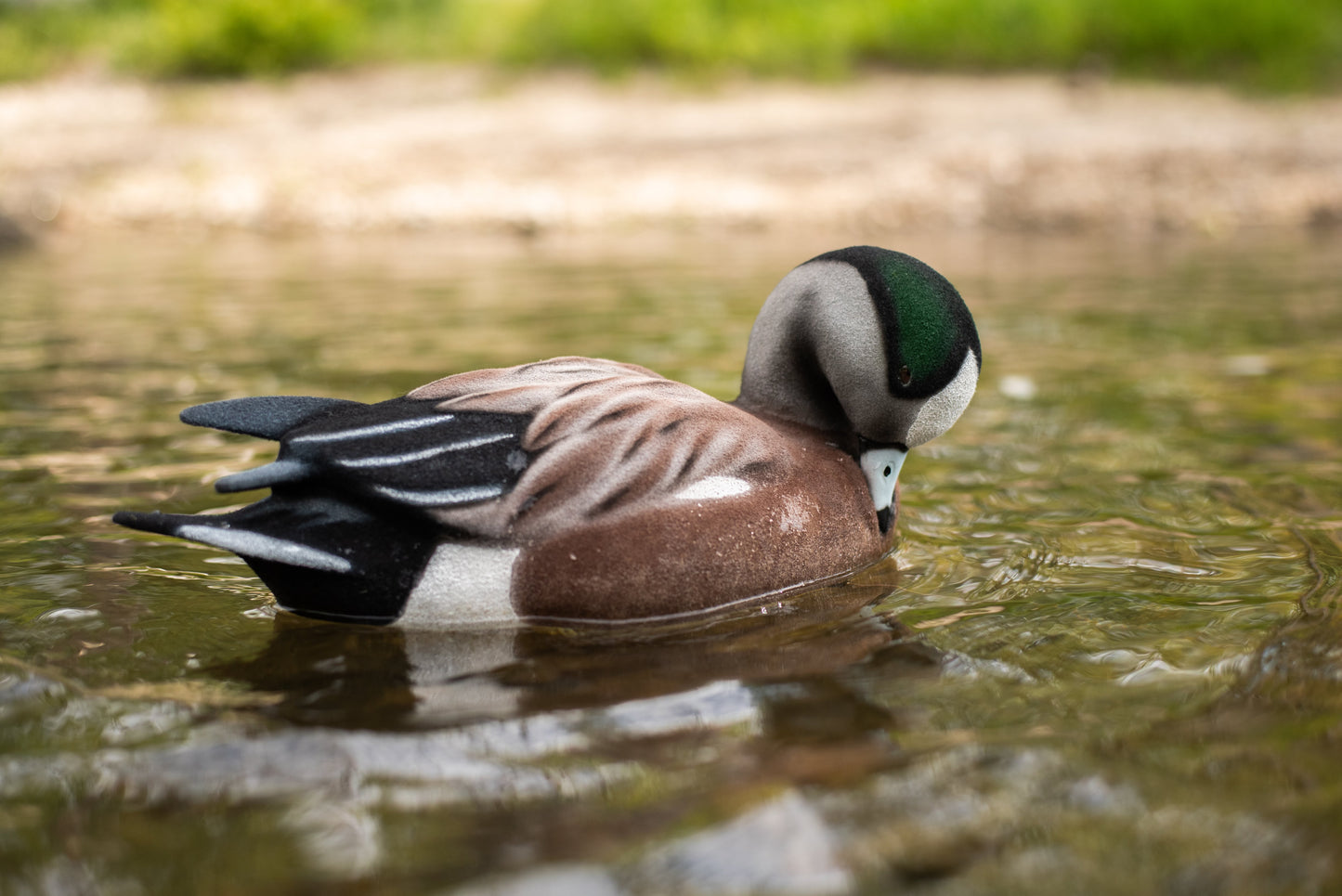 6 pack - Fully Flocked Wigeon Decoys